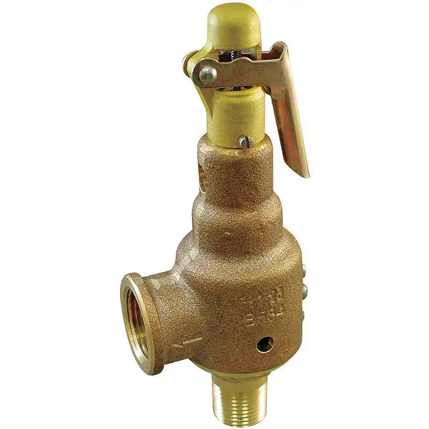 KUNKLE 6010DCV01AKM0025 Sicherheitsventil 1/2 x 3/4 Zoll 25 Psi