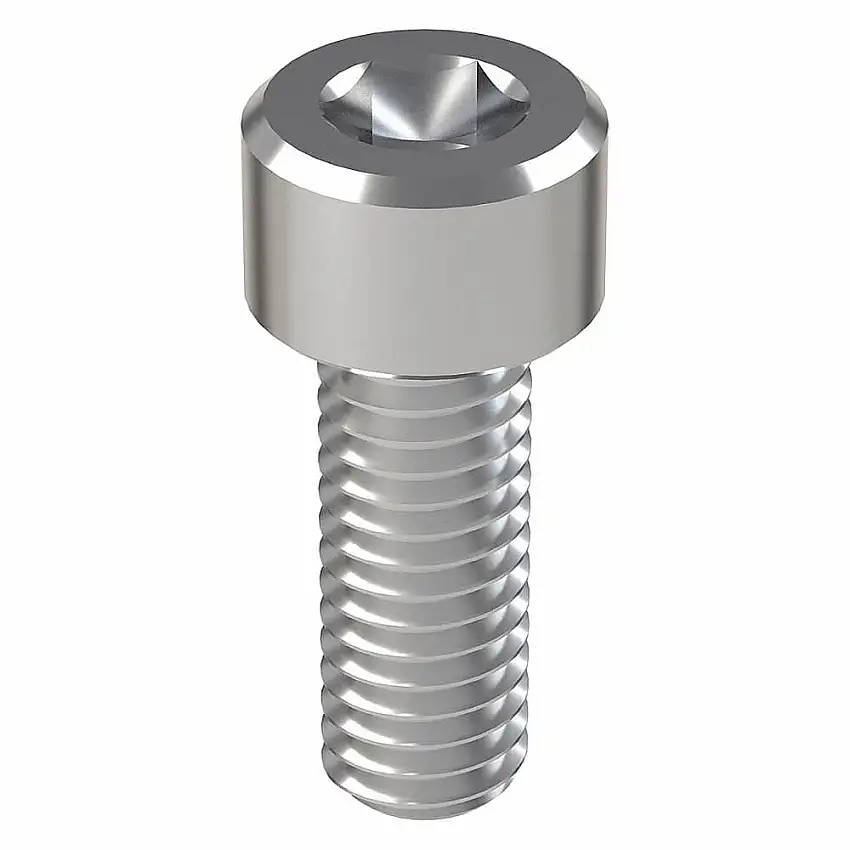 FOREVERBOLT FB3MSHCAPS61016P25 Metrische Innensechskantschraube, Gewindegröße M6x1, Zylindrisch, 16 mm Länge, NL-19