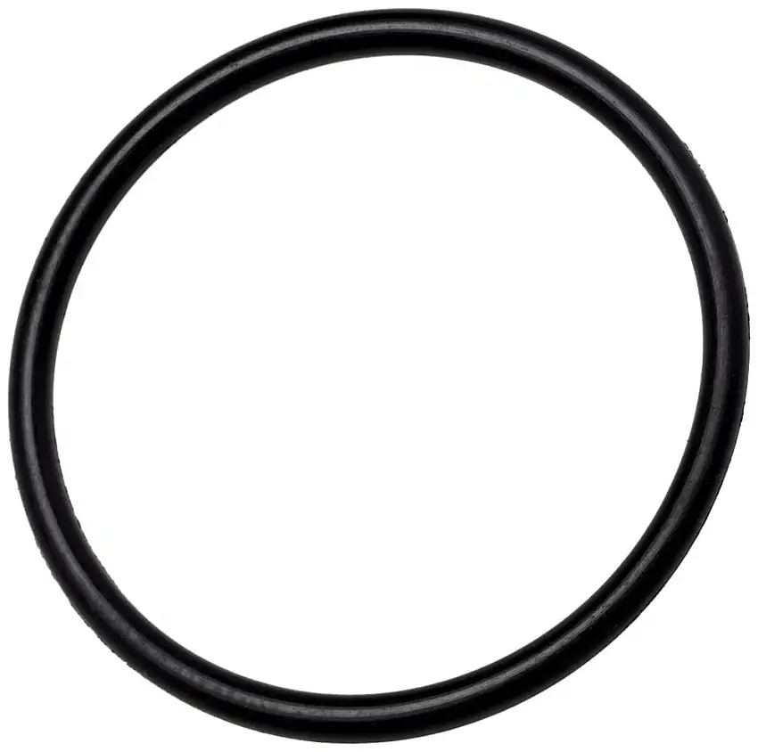 GATES 74820147 Kolben und O-Ring